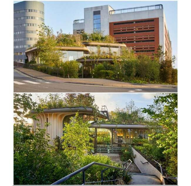 6. Центр онкологических больных Maggie's Centre в Лидсе от студии Heatherwick (Великобритания)