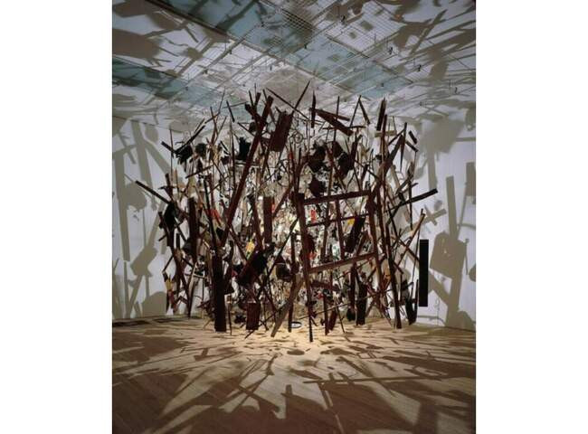 3. Корнелия Паркер, Холодная тёмная материя, 1991