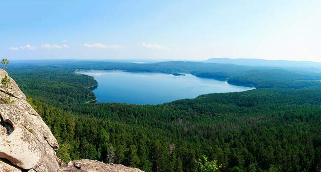 6. Самый большой лес