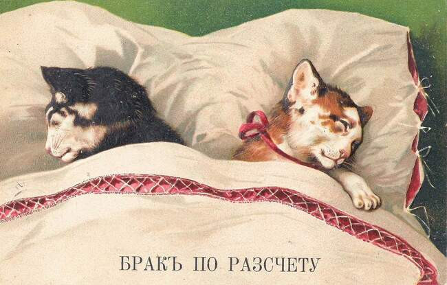 5. «Брак по расчету» (Истоки мемов с котятами где-то здесь)