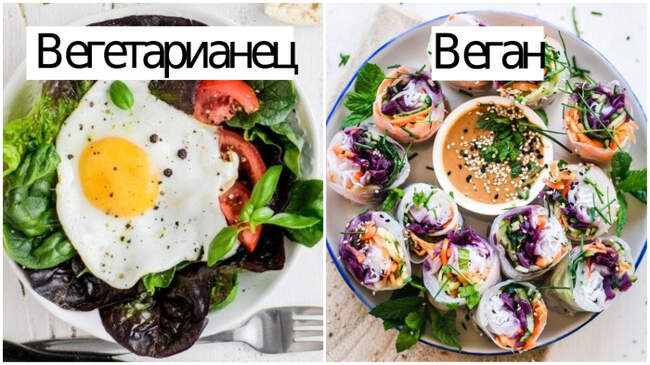 2. Вегетарианец и веган