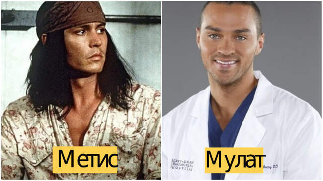 3. Мулат и метис