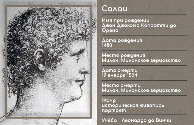 Биография Салаи