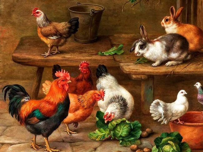 Кудах-тах-тах или как крестьянки помогали курицам яйца нести