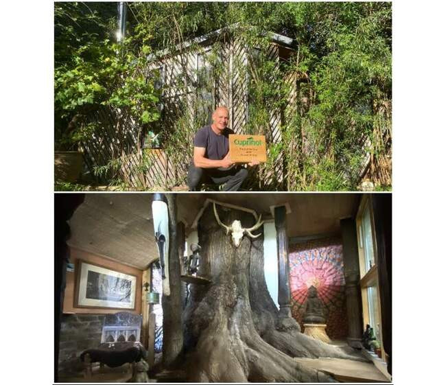 6. Уникальный садовый домик Bedouin Tree Shed от британского энтузиаста