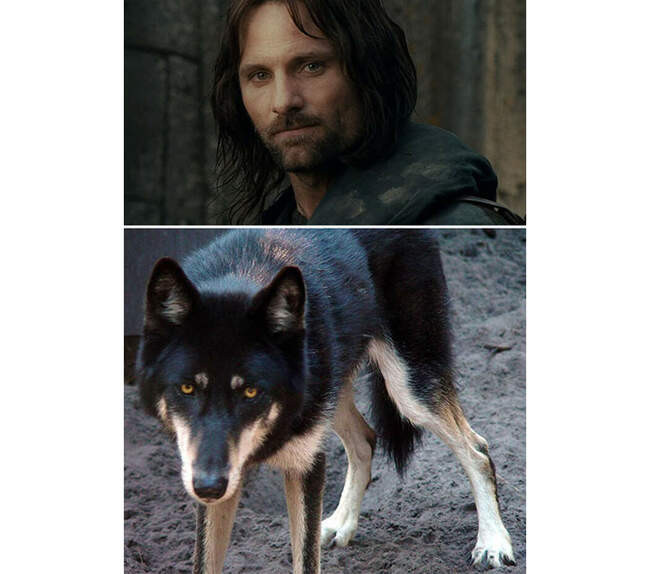 # 5 Арагорн