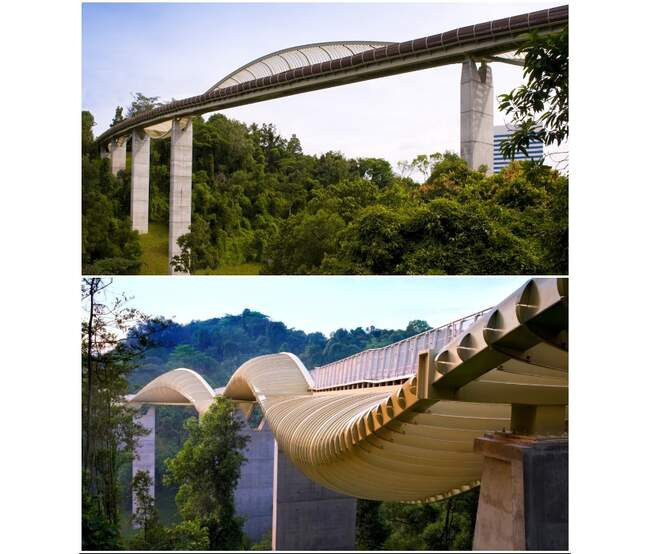 5. Пешеходный мост Henderson Waves в Сингапуре