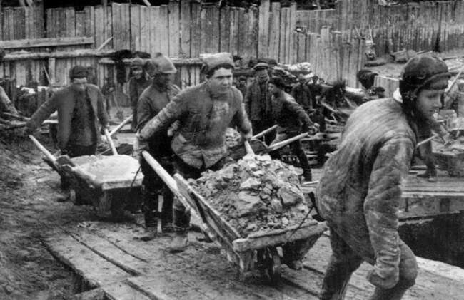 Перевоспитание или экономический ресурс?