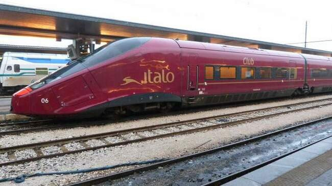 6. Avelia AGV