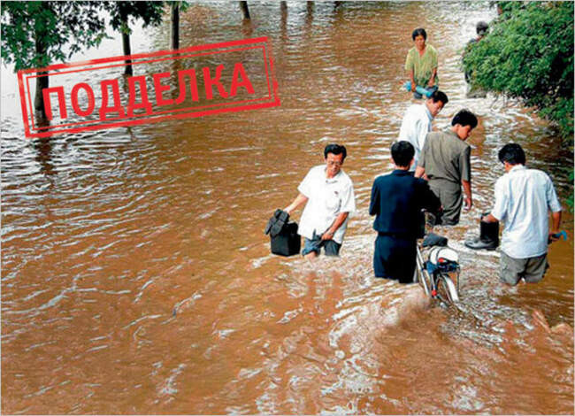 Вышли сухими из воды