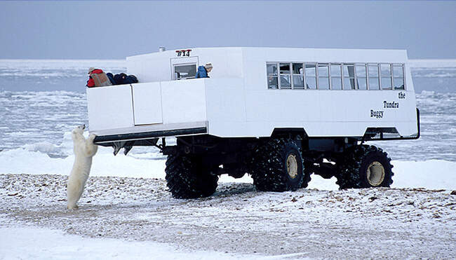 8. Tundra Buggy Lodge