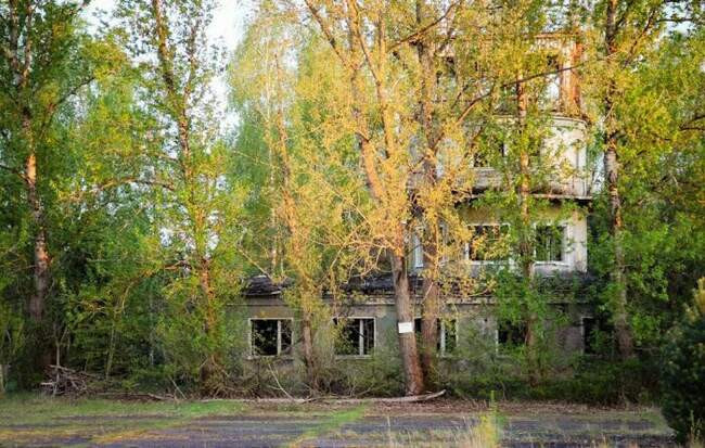 Почему немцы не нашли применение практически полноценным городам