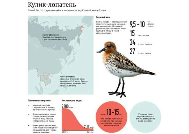 Чем же привлекает Мейныпильгыно