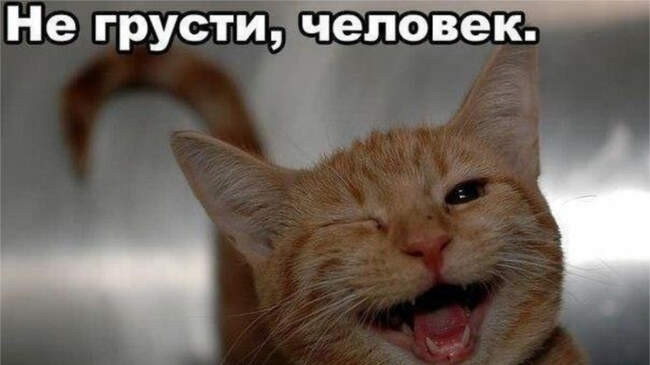 1. «Забей, всё пройдёт!»