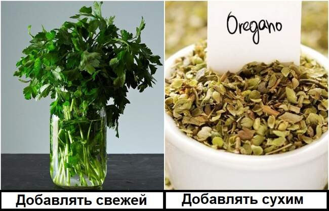 1. Специи и травы