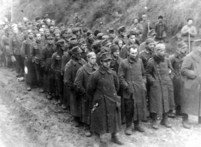 Прерванный полет «Галичины» и канадская диаспора