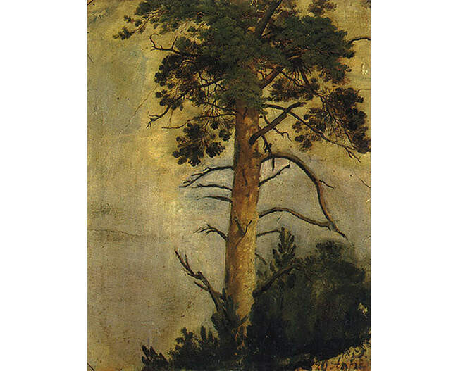 Сосна на скале, 1855