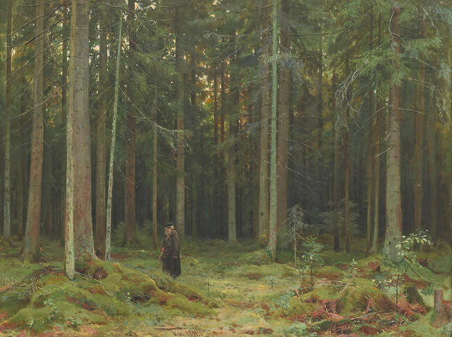 В лесу графини Мордвиновой. Петергоф, 1891