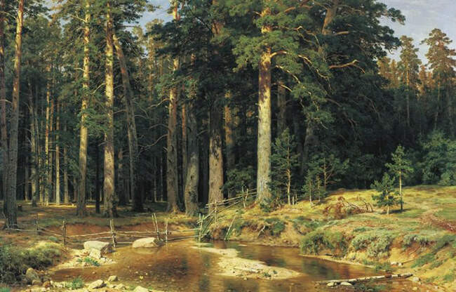 Корабельная роща, 1898