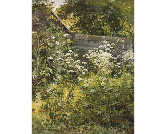 Уголок заросшего сада. Сныть-трава, 1884