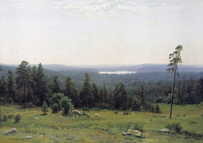 Лесные дали, 1884