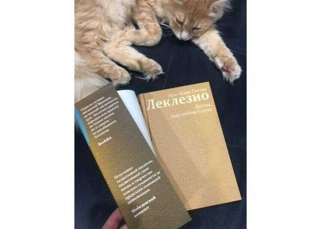 «Битна, под небом Сеула», Жан-Мари Гюстав Леклезио