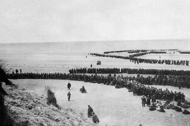 Морской волчонок
