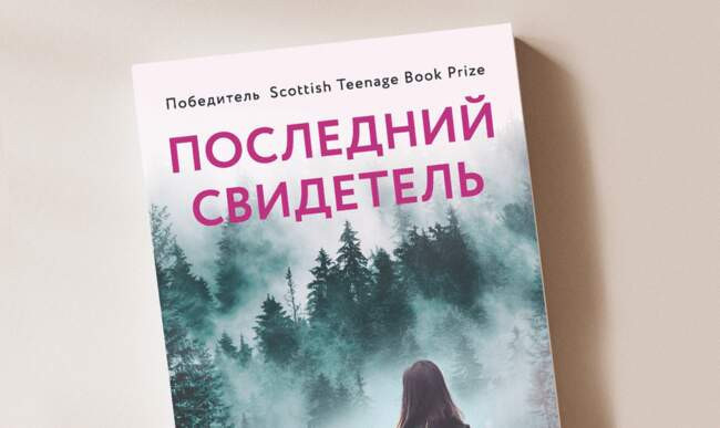 3 «Последний свидетель» Клэр Макфолл