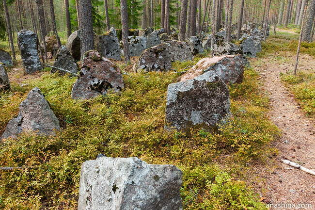 Карелия