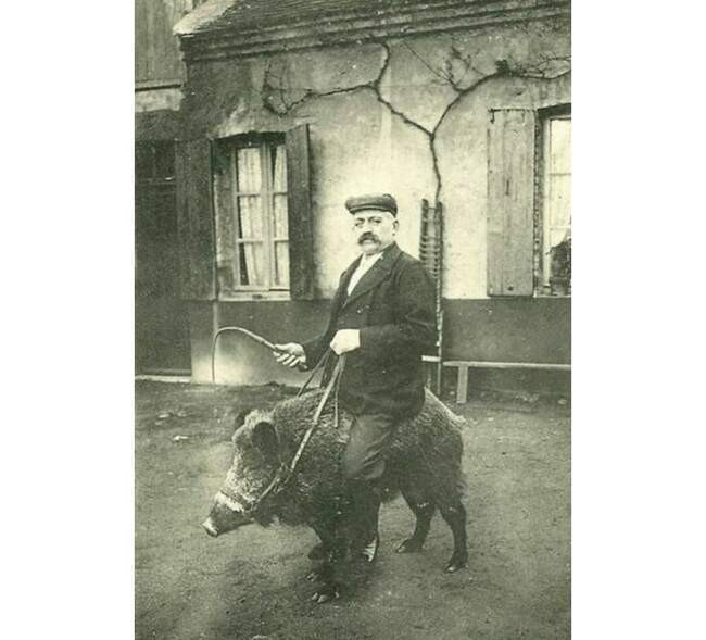 Филитиарн Феаргах