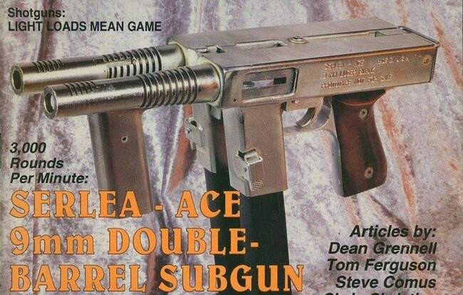 2. SerLea ACE