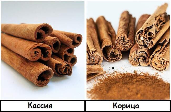 6. Корица