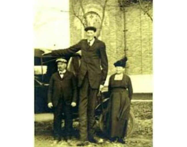 Бернард Койн