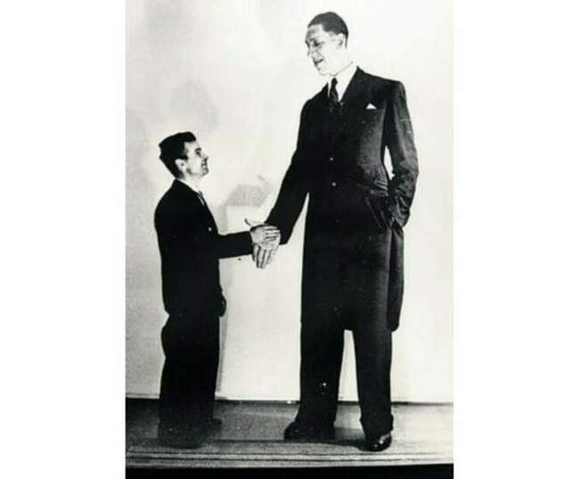 Вейно Миллюринн