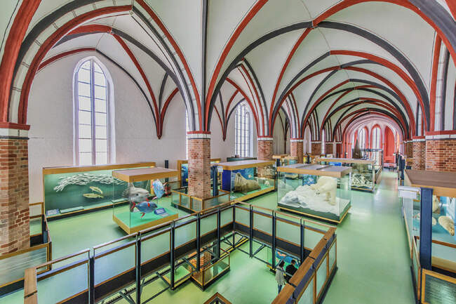 Meeres Museum. Штральзунд, Германия