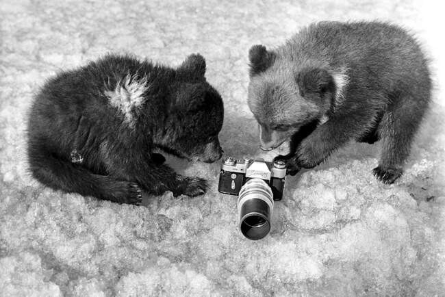 3. Фотоаппараты Zenit