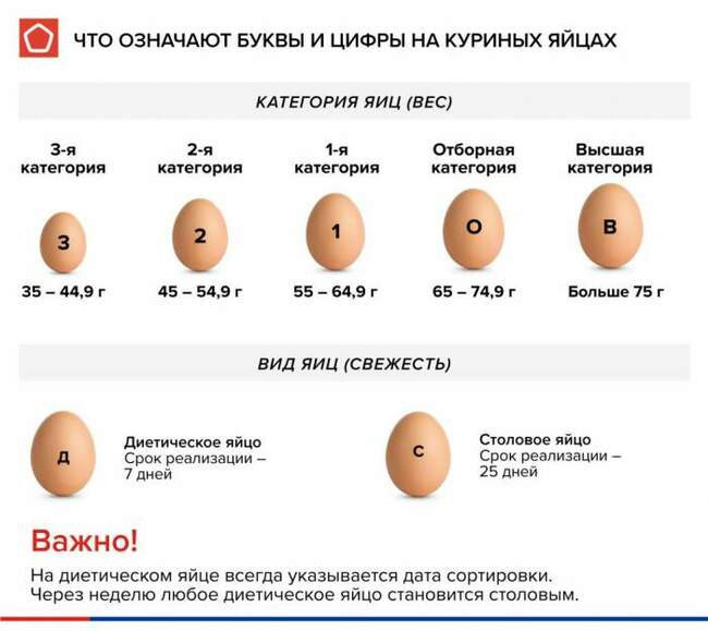 Классификация куриных яиц