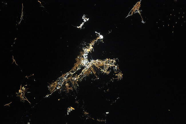 Новороссийск — конь