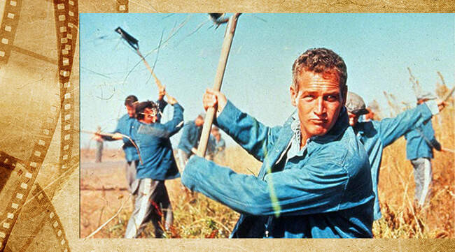 7. Донн Пирс и Хладнокровный Люк (1965) - слишком мило, чтобы быть реалистичным