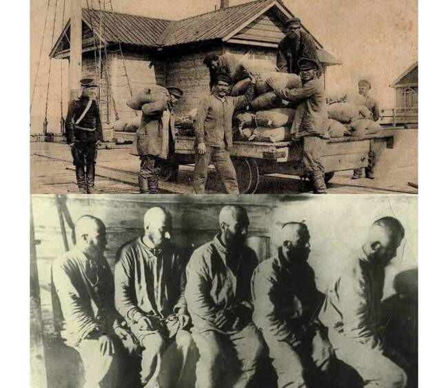 Чехов и Сахалин
