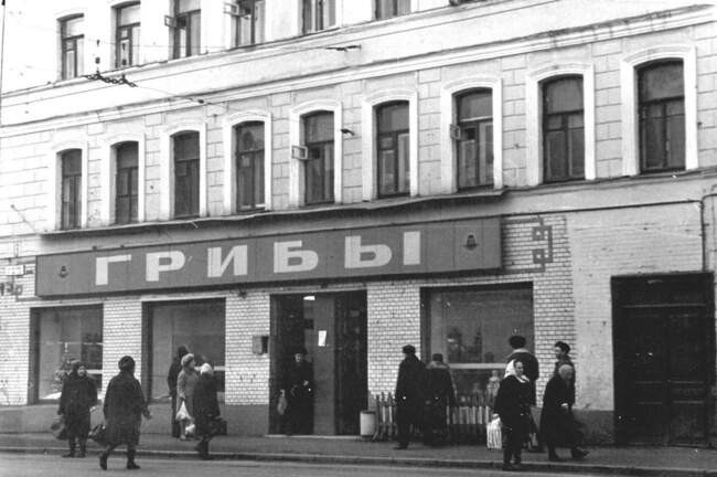 Грибы