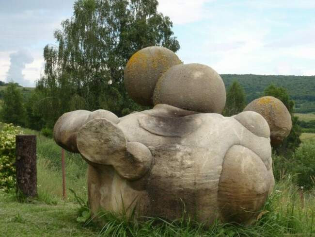 2. Живые камни