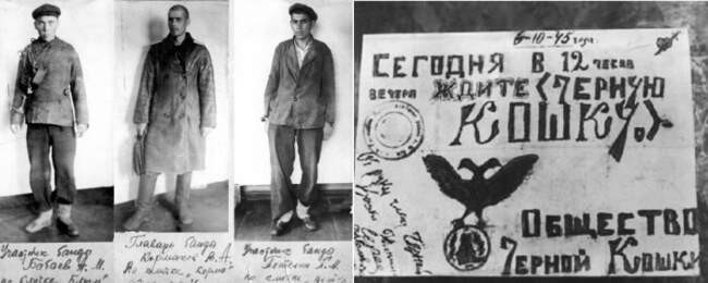 Сколько было «Черных кошек»