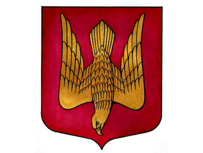 Сокол Рюрика
