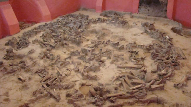 2. Костенки (Воронежская область)