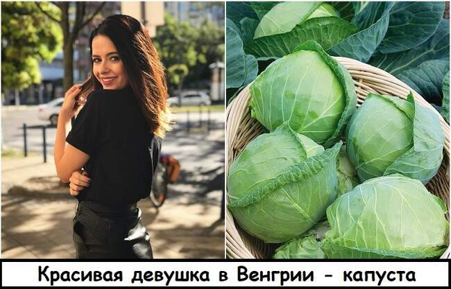6. Венгрия