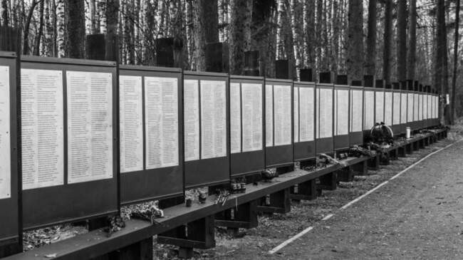 Что выяснили исследователи