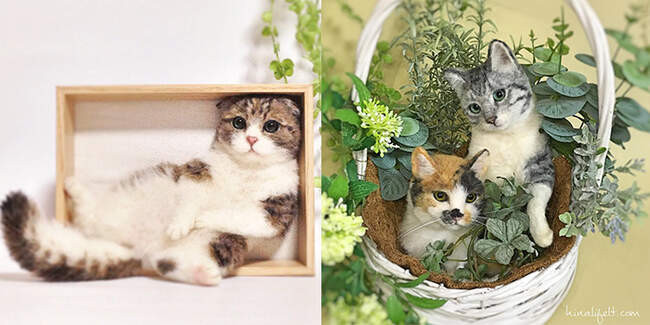 Войлочные кошки Hinali