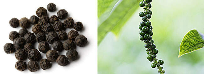 Перец черный / Black pepper