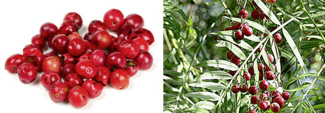 Перец розовый / Pink peppercorn